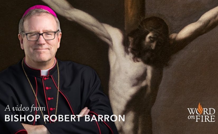bishop barron luminous mysteries